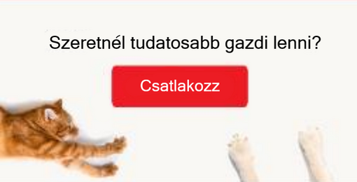 Szeretnél tudatosabb gazdi lenni?