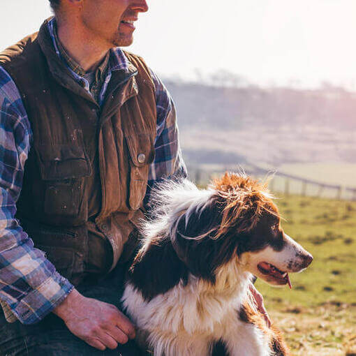 border collie gazdájával vidéken