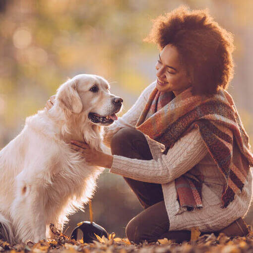 golden retriever kan férfi gazdájával hegytetőn