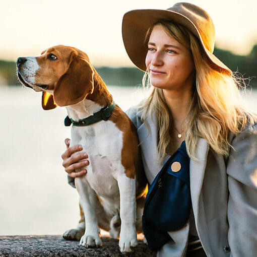 beagle kutya elegáns gazdájával vízpart mellett