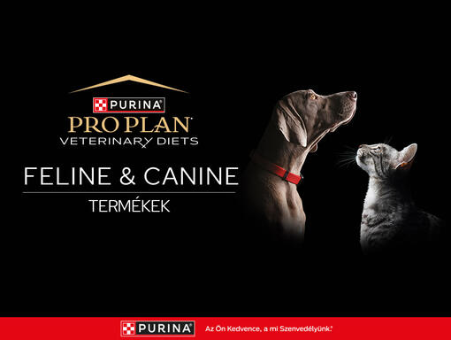 PRO PLAN VETERINARY DIETS termékek ismertető