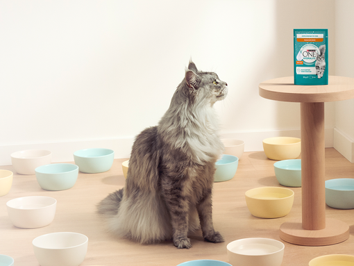 Hidratáld macskád egyszerűen a PURINA ONE HYDRALIFE segítségével