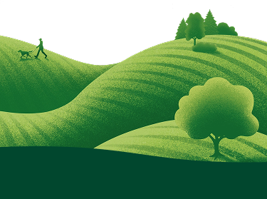 PURINA FRISKIES zöld dombok kutyasétáltatóval grafika