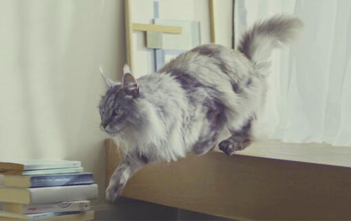 Támogatja az egészséges bélmikrobiomot