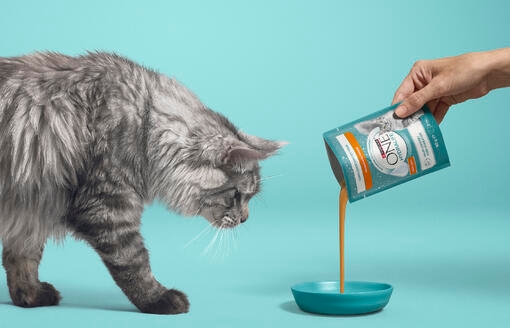 Látható egészség most és a jövőben is