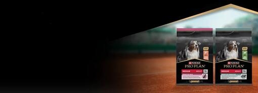 PRO PLAN eledelek teniszpálya háttérrel