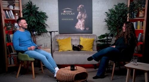 PRO PLAN podcast Dr. Márton Kingával