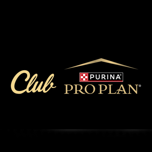 PRO PLAN Club hírlevél logo