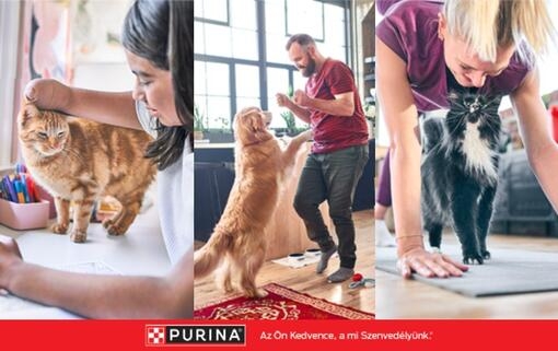 Kövess minket Facebookon