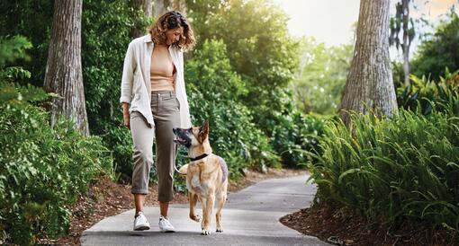 malinois és gazdája erdőben sétálnak