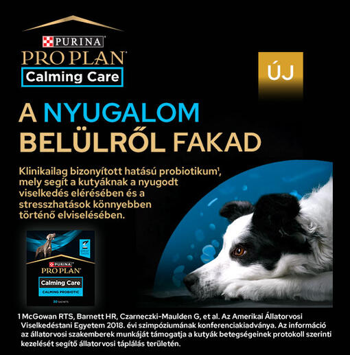 PRO PLAN Calming Care termékismertető banner