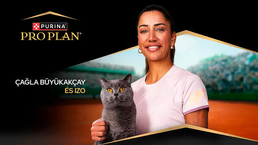 Cagla Büyükakcay macskával az ölében