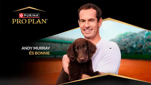 Andy Murray kutyával a képen PRO PLAN