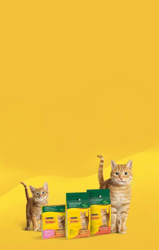 FRISKIES macskaeledelek két cicával