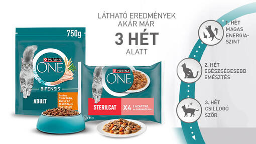 PURINA ONE termékfotó 3 Hetes Sikerprogram