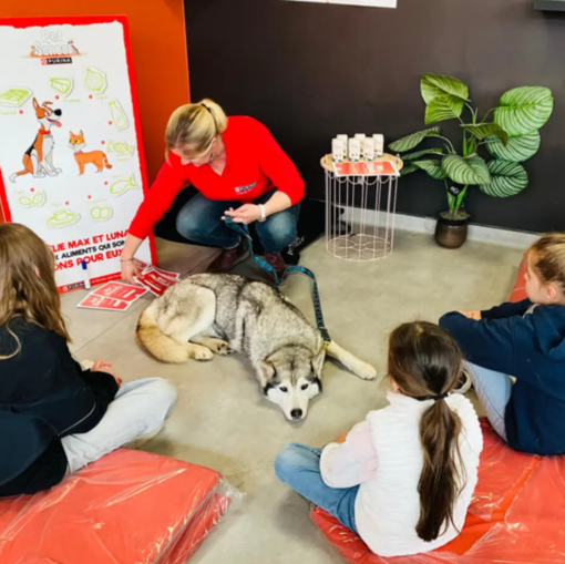 iskolai foglalkozás kutyával PURINA