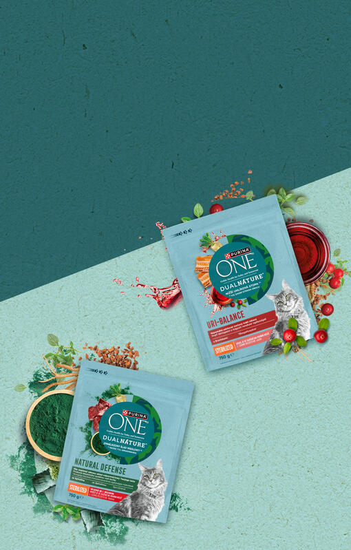 PURINA ONE Dual Nature macskaeledelek