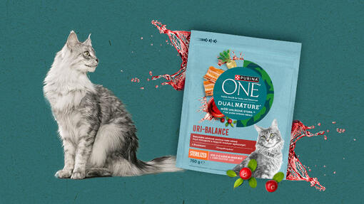PURINA ONE Dual Nature Uri balance