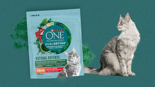 PURINA ONE Dual Nature eledel macska