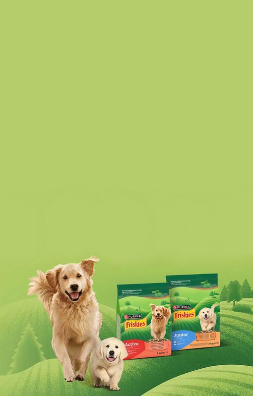 FRISKIES kutyaeledelek és boldog golden retrieverek