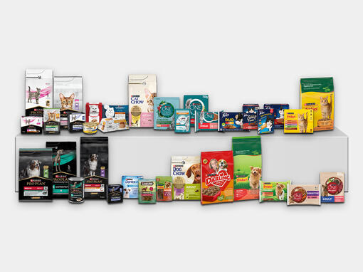PURINA kutya és macskaeledelek termékek