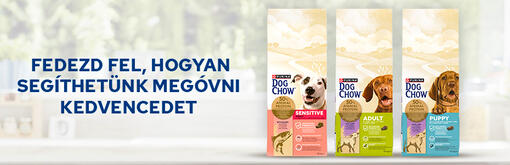 DOG CHOW száraz kutyaeledelek termékkínálat