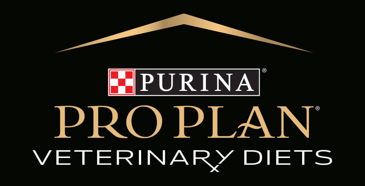 PPVD master logo PPVD logó
