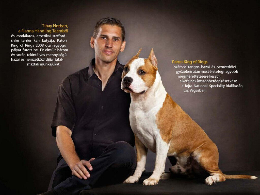 Tibay Norbert és amerikai staffordshire kutyája Tibay Norbert és amerikai staffordshire kutyája