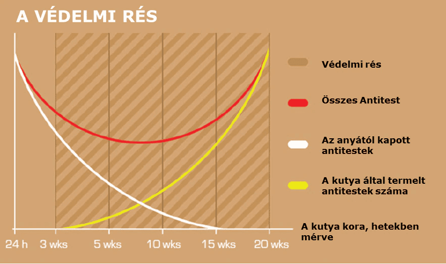 védelmi rés grafikon védelmi rés grafikon
