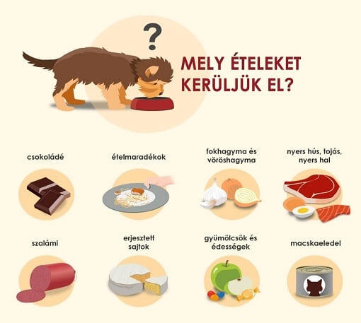 Info Info