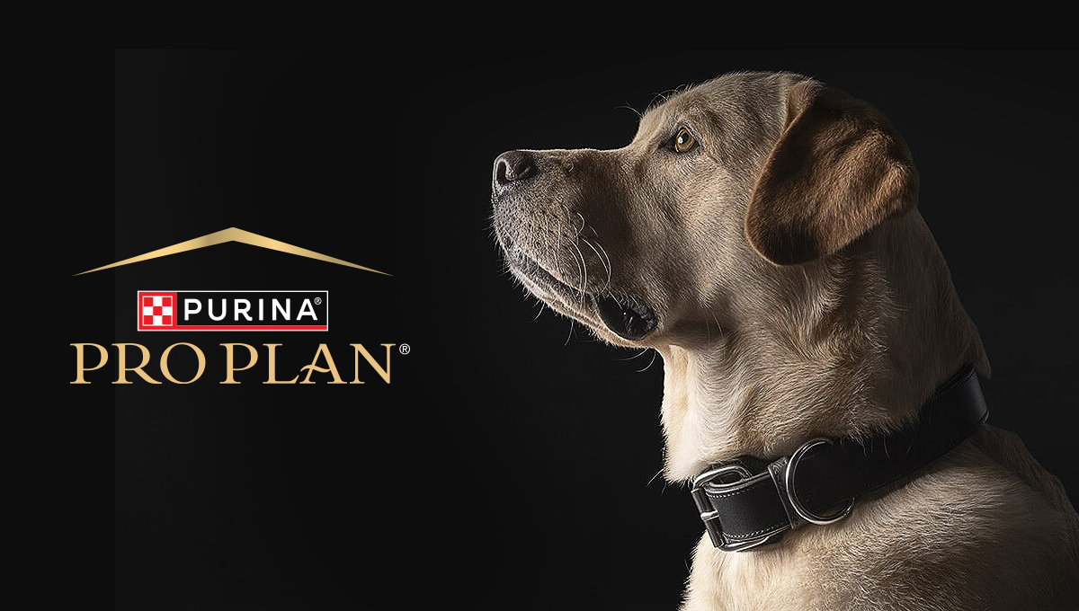 Receptúra az egészséges, boldog kutyaélethez Purina