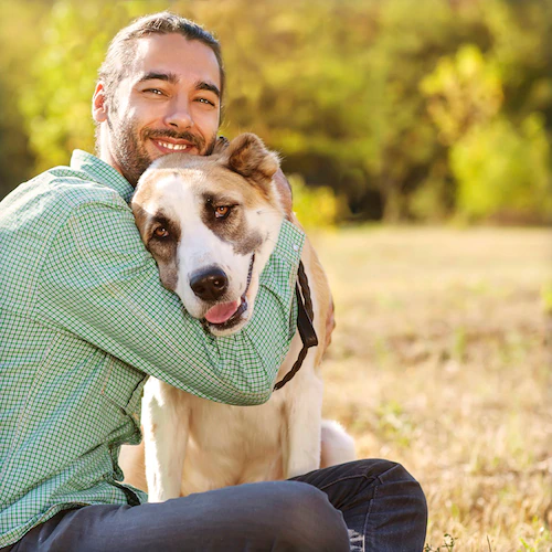 férfi kangal kutyát mosolyogva átölel férfi kangal kutyát mosolyogva átölel